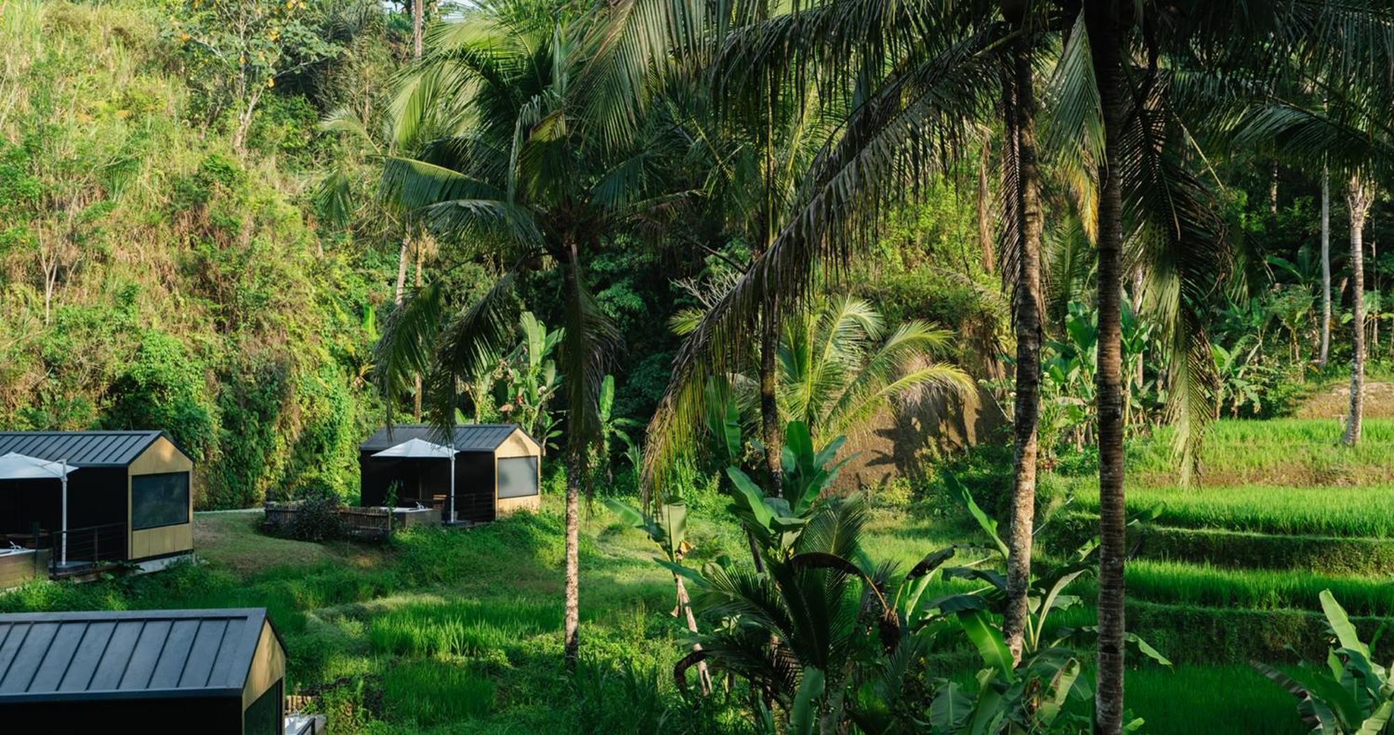 Bobocabin Ubud, Bali Екстер'єр фото